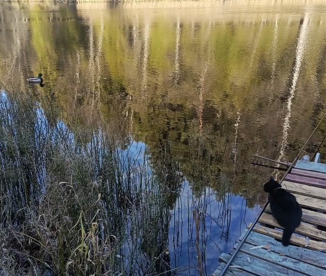 Аномальное тепло