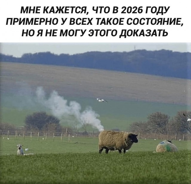 Картинки для деградации 307 (разной степени свежести)