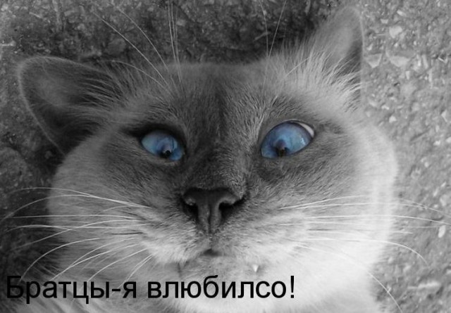Я опять залип