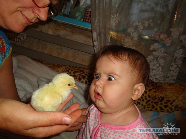 Без названия