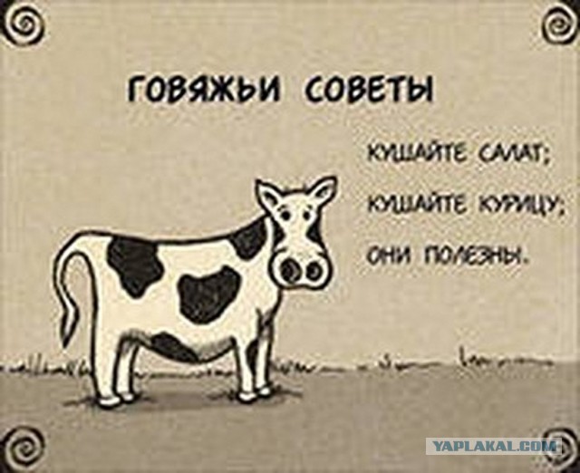 ООН может признать мясоедение преступлением.