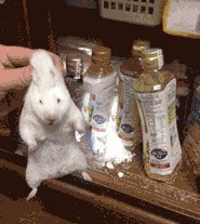 Попался