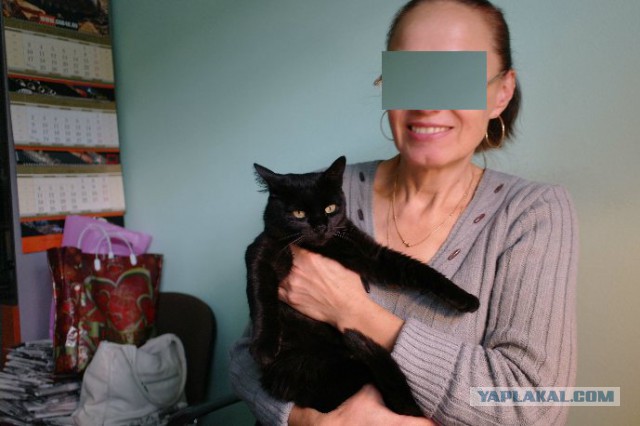 Все умрут, но некоторые не сегодня