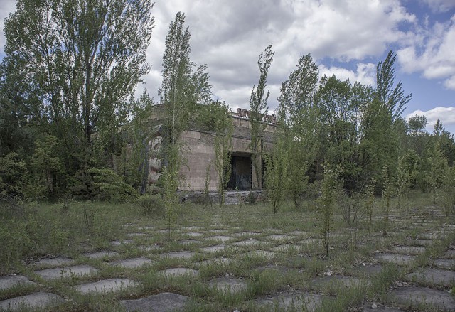 Рыбная ферма в Чернобыле