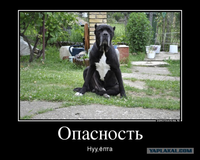 Опасность