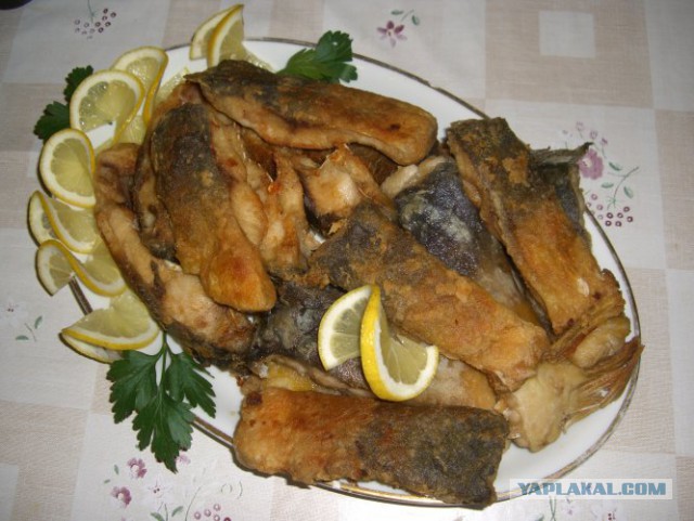 Про закуску к пиву