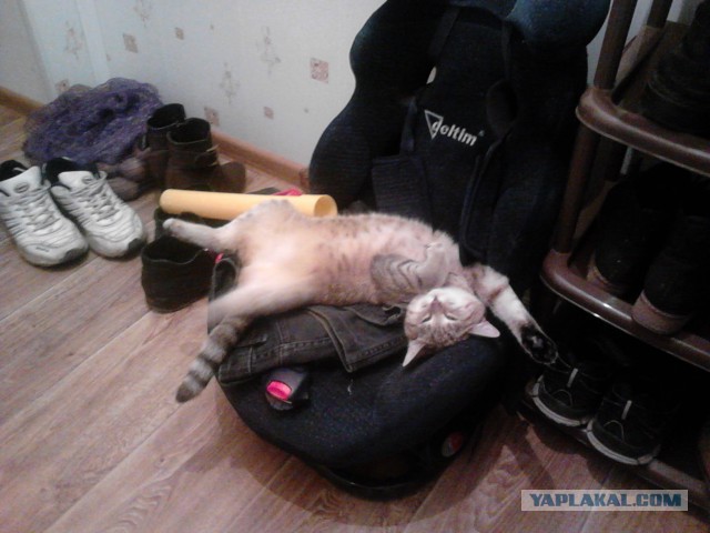 Спят усталые ...