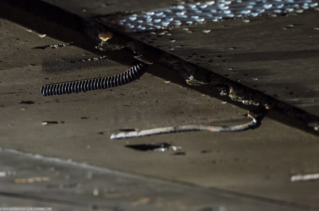 Богучанская ГЭС