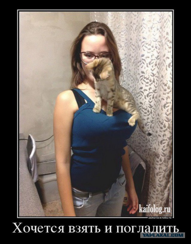 Котовторнику посвящается.