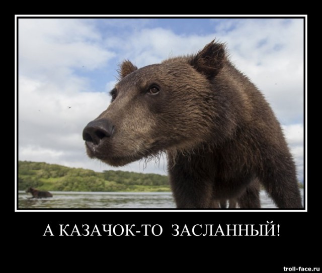 Камчатский дневник: жизнь в клетке