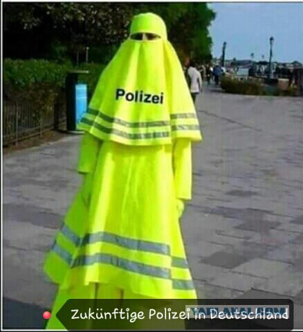 Политота Немчурии