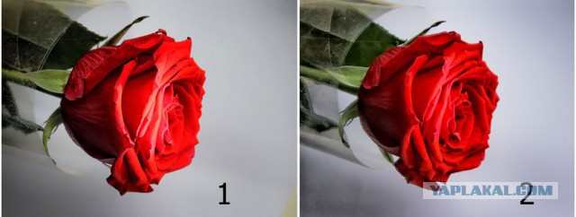 Я купил зеркалку. Ожидания VS реальность