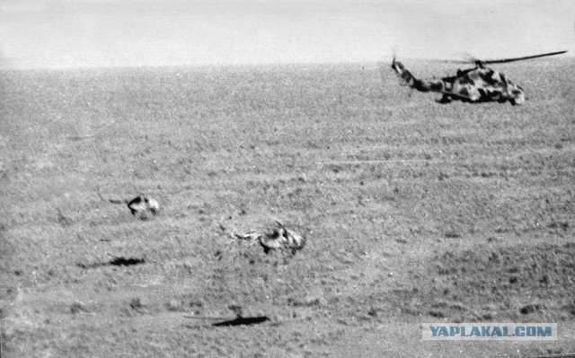 Здравствуй, дорогая...