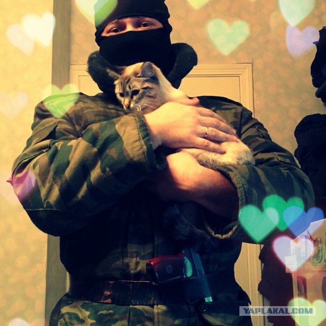 А давайте поговорим о жизни