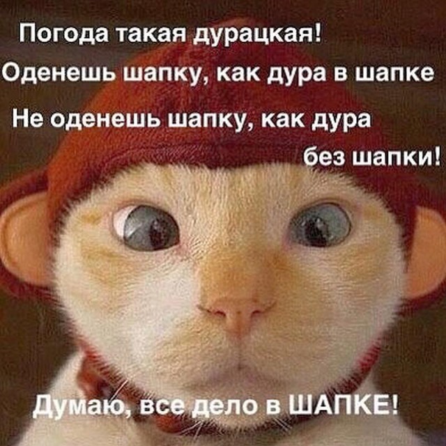 Картинки и приколы из соц.сетей и интернета
