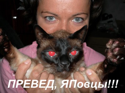 Кошки и Собаки - большая подборка