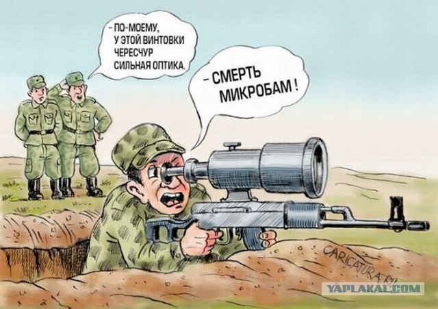 Про кукушек на деревьях и немного про Симу Хайхя