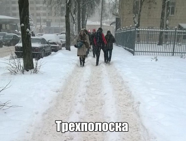 Подборка веселых картинок на выходные