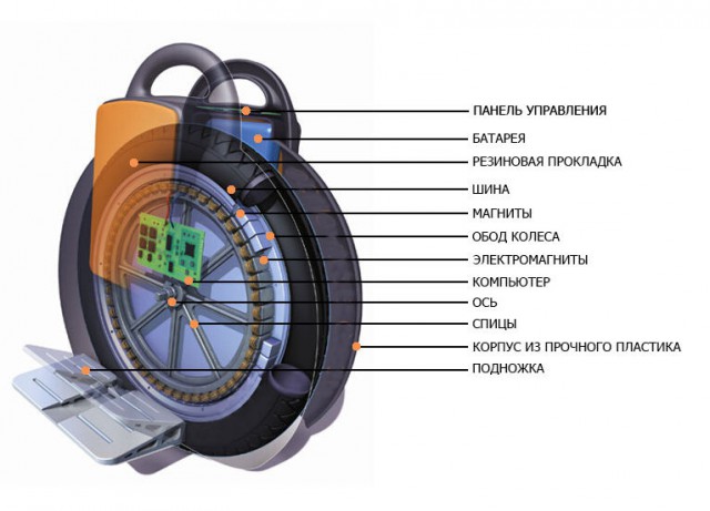 Моноколеса – транспорт будущего?