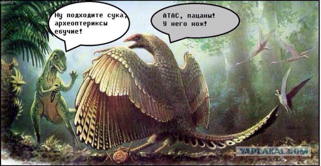 Подборка интересных и смешных картинок