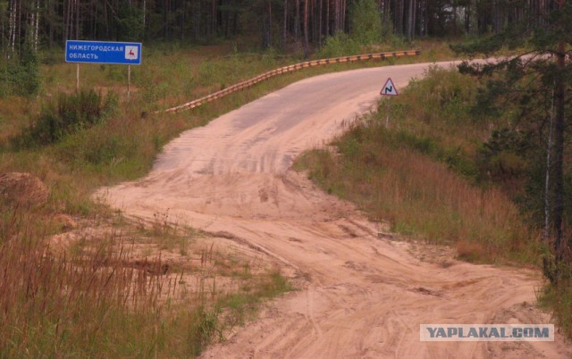 Подборка прикольных фото