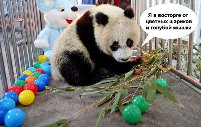 Радость