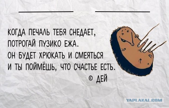 Кушать подано. Изволите столоваться