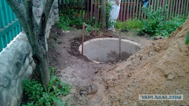 Cептик, обустройство, маскировка