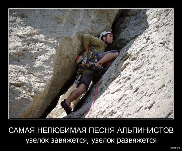 Подборка интересных и веселых картинок
