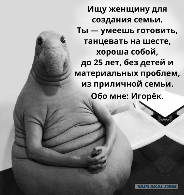 Очередная порция веселых комментов из соцсетей.