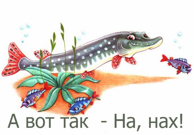 Удачная рыбалка
