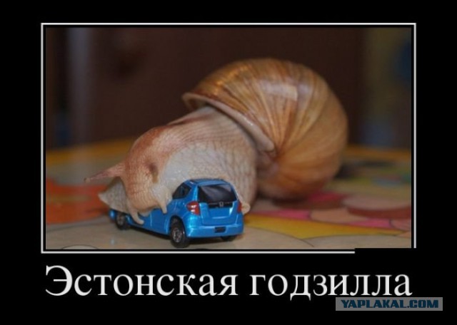 Деградации ЯПу