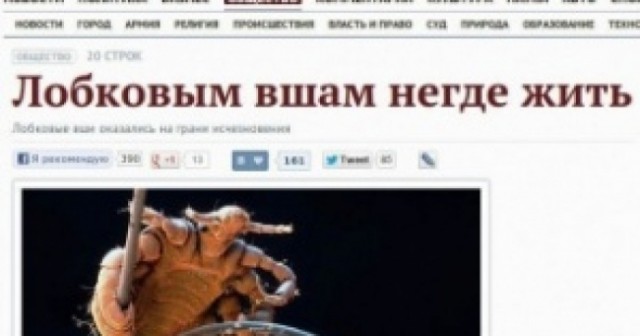 Жёлтая пресса не перестаёт нас удивлять!