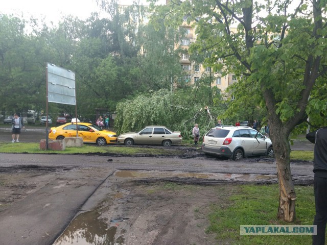 В Москве ураган!
