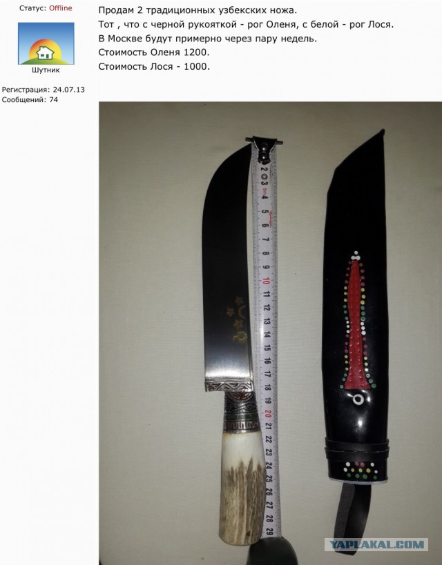 Продам Пчаки