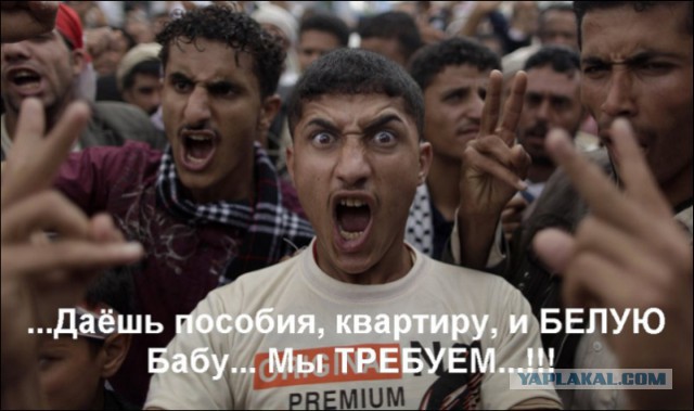 Профессор: не будет ни ассимиляции, ни интеграции. Мусульмане нас поглотят