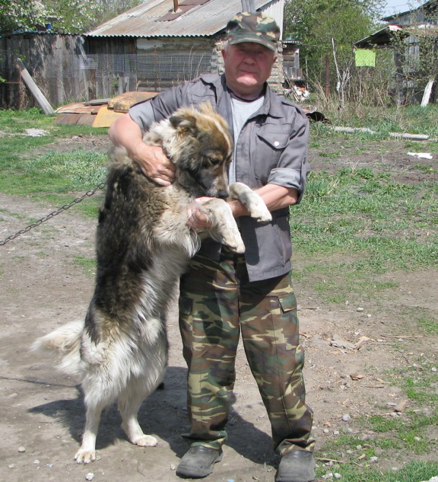 Эй, куда он делся?!?!