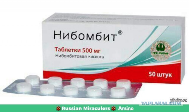 Привёл в дом засранку