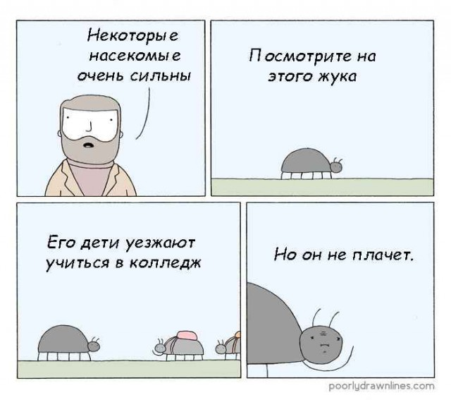 Не очень адекватный юмор