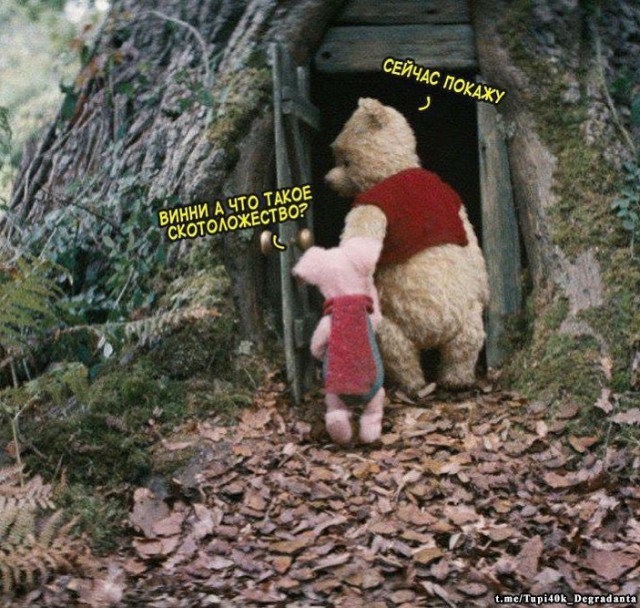 Немного картинок на выходные