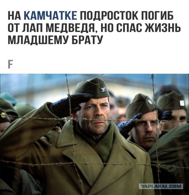 Трогательные истории в фотографиях