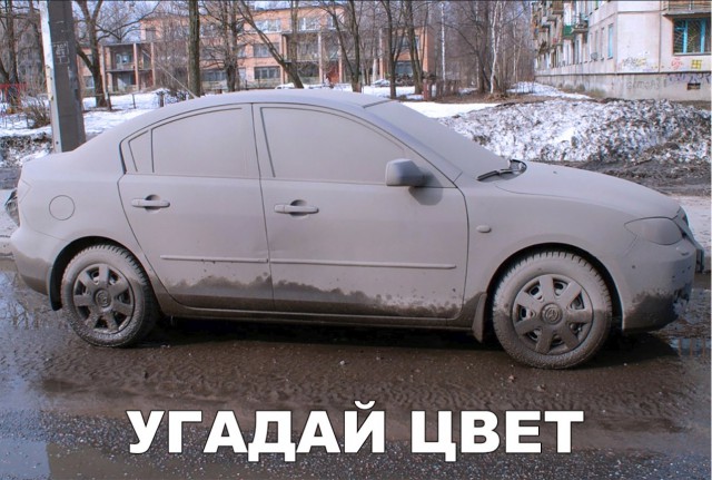 Прикольные картинки абавсём