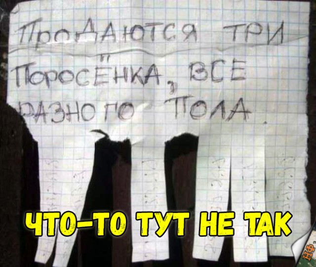 Прикольные картинки абавсём