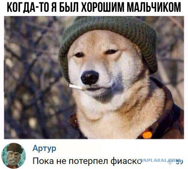 Анекдоты, соц-сети, истории и картинки с надписями