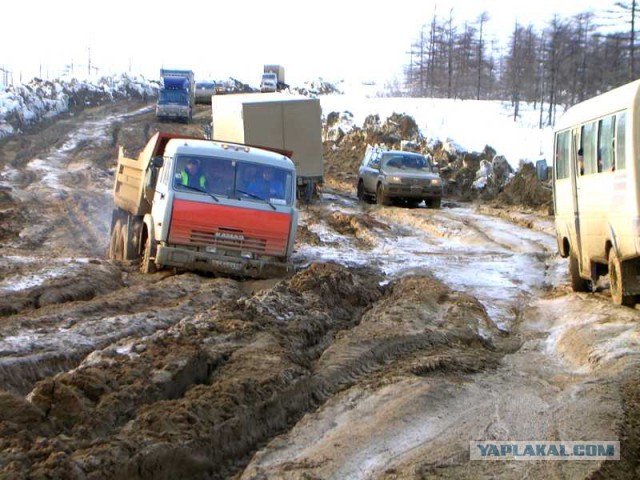Вылезет или нет ?