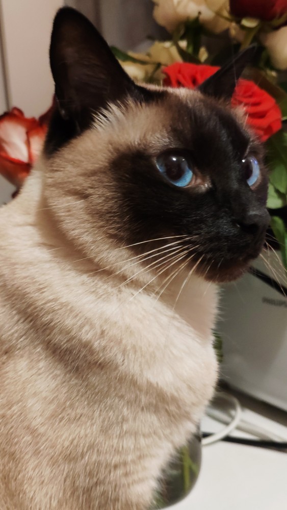 Калейдоскоп Картинок