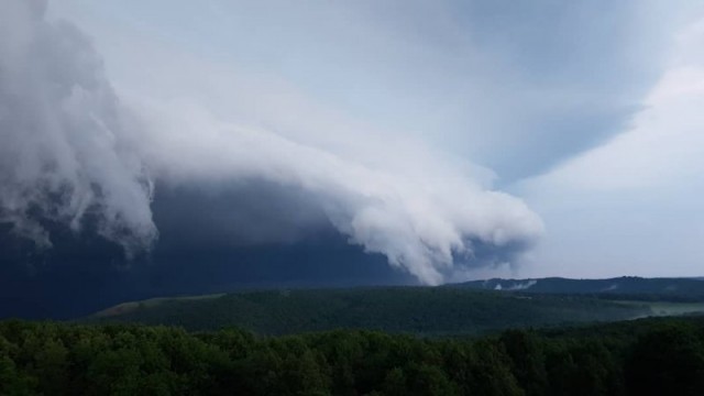 Смехопанорама