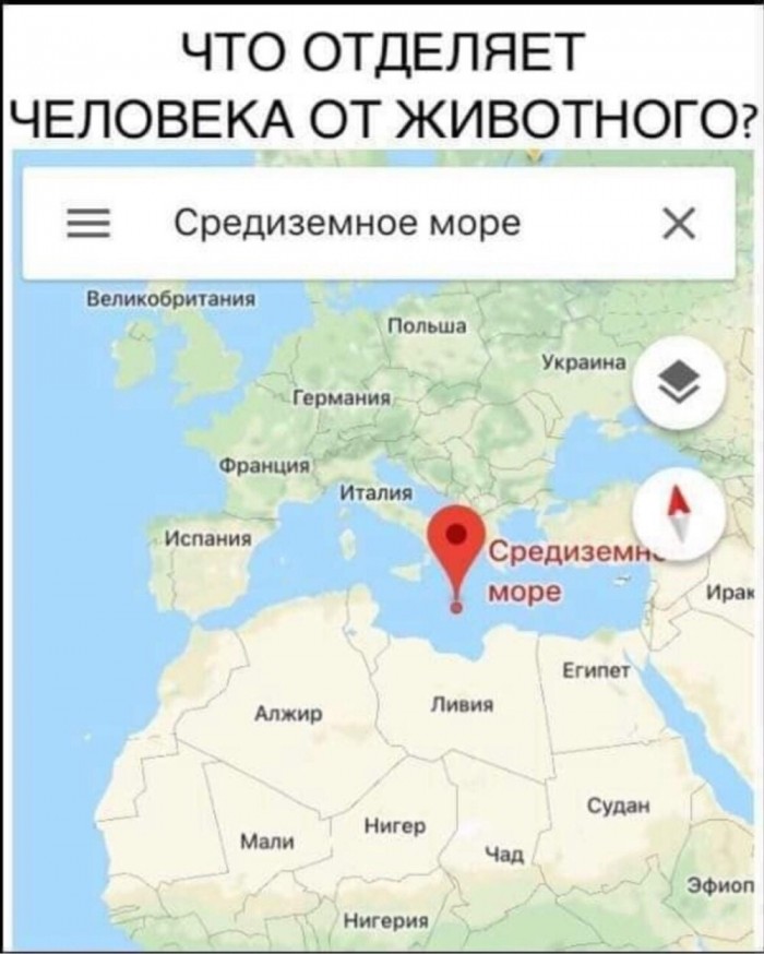 Бредзона из картинок