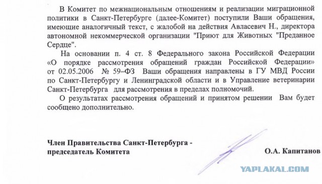 Помогите вернуть кота! Приют "Преданное сердце" украл кота и не отдает!-2