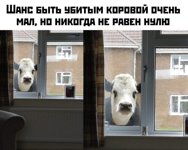 Чуток картинок на 18.12.19